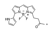 BODIPY 576/589化学结构